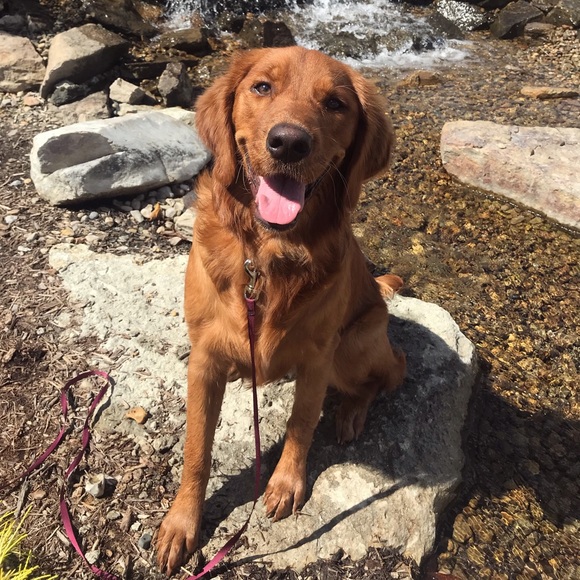 Meet your Posher, Erin - Picture 2 of 4